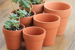 給大家聊一聊花盆如何選擇